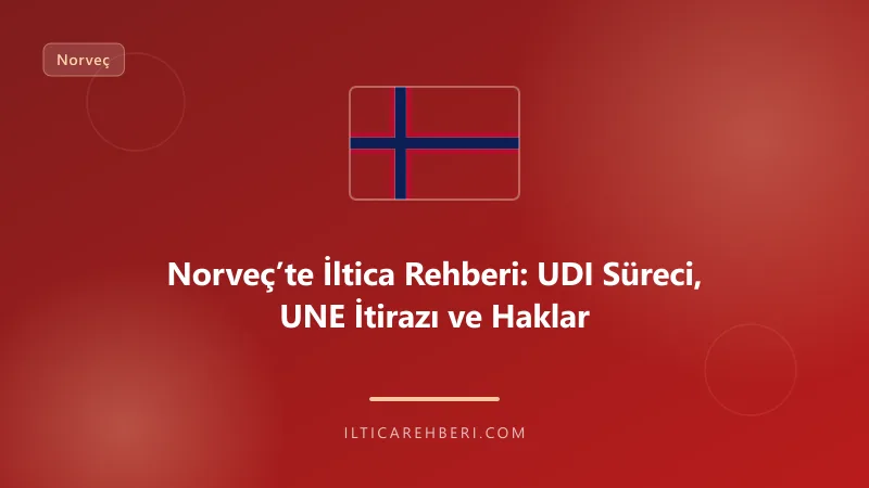 Norveç’te İltica Rehberi: UDI Süreci, UNE İtirazı ve Haklar — mahkeme dava — Genel | İltica Rehberi